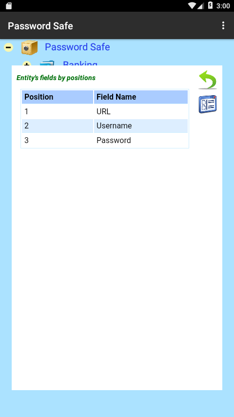 Password Safe Screen 3.